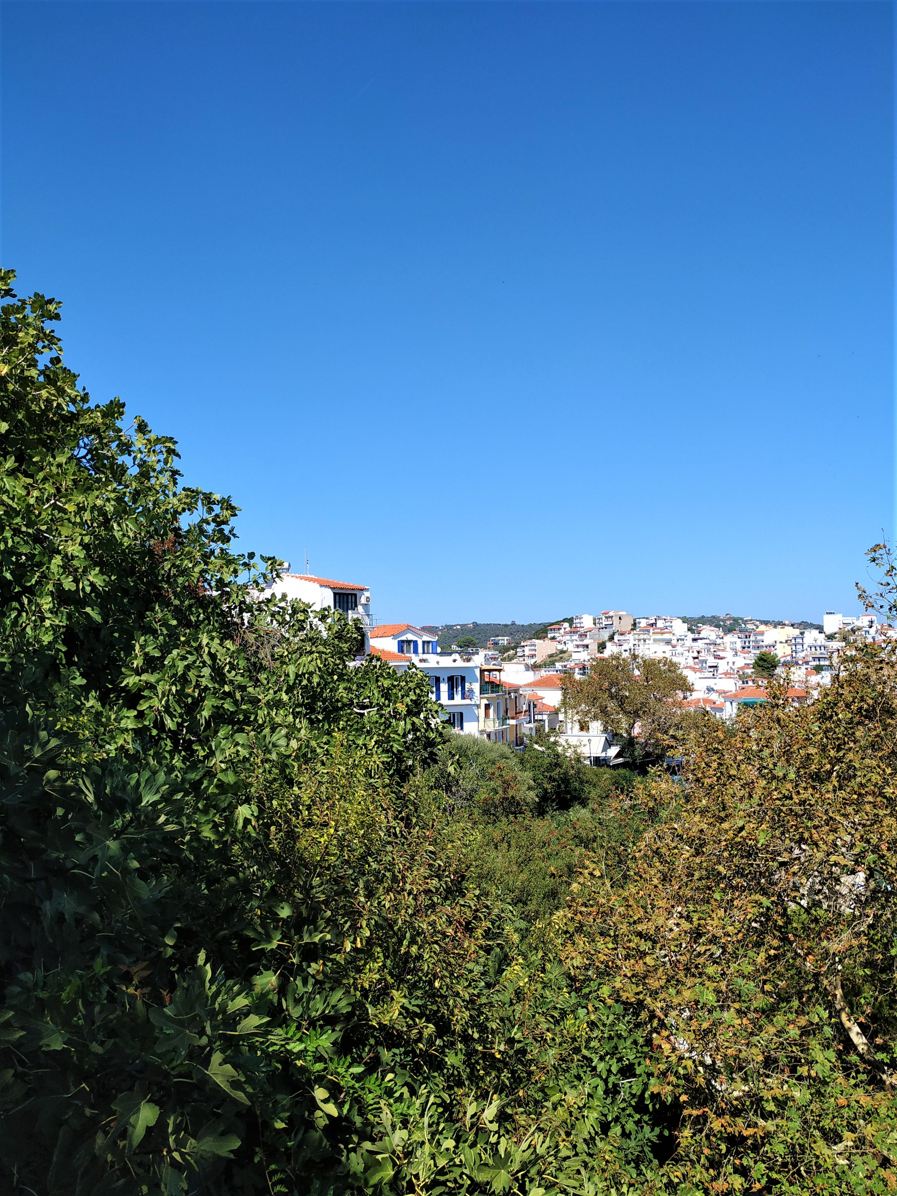 Argo Pension Skiathos-Stadt Exterior foto